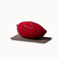 Montage Chocolat "Cabosse"