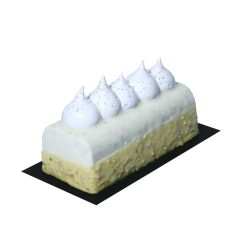 Vanilla - Mango ice log